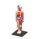 In-game image of Anatomical Model
