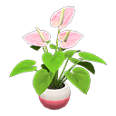 Wishlist - Mirrdyn ★ Anthurium-plant-vv-pink.3c2f42e