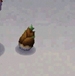 In-game image of Bamboo Shoot