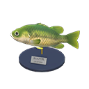 In-game image of Black Bass Model