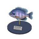 In-game image of Bluegill Model