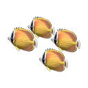 In-game image of Butterfly-fish Model