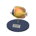 In-game image of Butterfly Fish Model