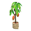 In-game image of Cacao Tree