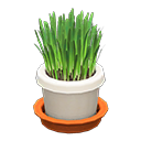 In-game image of Cat Grass