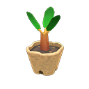 In-game image of Cedar Sapling