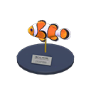 In-game image of Clown Fish Model