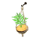 In-game image of Coconut Wall Planter