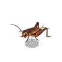 In-game image of Cricket Model