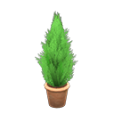 In-game image of Cypress Plant