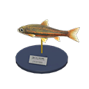 In-game image of Dace Model