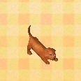 In-game image of Dachshund Ornament