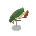 In-game image of Diving Beetle Model