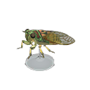 In-game image of Evening Cicada Model