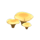 In-game image of Flat Mushroom