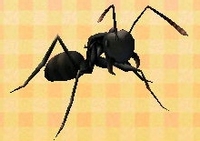 In-game image of Giant Ant