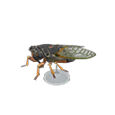In-game image of Giant Cicada Model