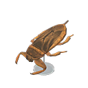 In-game image of Giant Water Bug Model