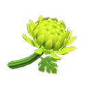 In-game image of Green Mums