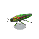 In-game image of Jewel Beetle Model