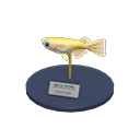 In-game image of Killifish Model