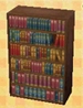 In-game image of Large Bookshelf