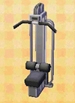 In-game image of Lat Pulldown Machine