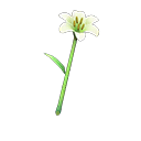 In-game image of Lily Wand