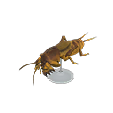 In-game image of Mole Cricket Model
