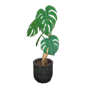 In-game image of Monstera