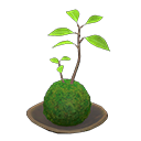 In-game image of Moss Ball