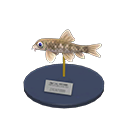 In-game image of Nibble Fish Model