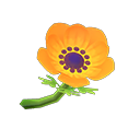 In-game image of Orange Windflowers