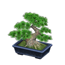 In-game image of Pine Bonsai Tree