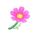 In-game image of Pink Cosmos