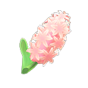 In-game image of Pink Hyacinths