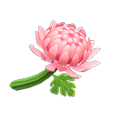 In-game image of Pink Mums