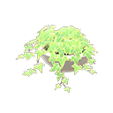 In-game image of Potted Ivy
