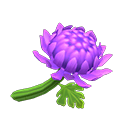 In-game image of Purple Mums
