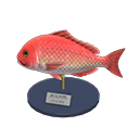In-game image of Red Snapper Model