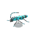 In-game image of Rosalia Batesi Beetle Model