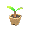 In-game image of Sapling