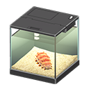 In-game image of Sea Cucumber