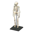 In-game image of Skeleton