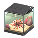 In-game image of Slate Pencil Urchin