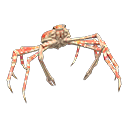 In-game image of Spider Crab