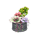 In-game image of Succulent Plant