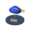 In-game image of Surgeonfish Model