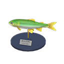 In-game image of Sweetfish Model