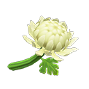 In-game image of White Mums